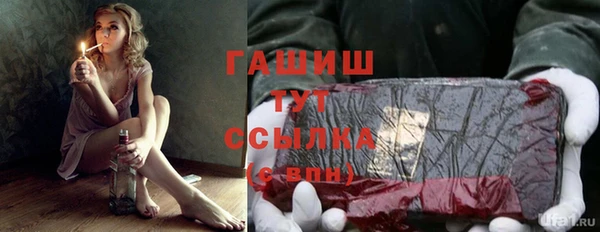 spice Богородицк