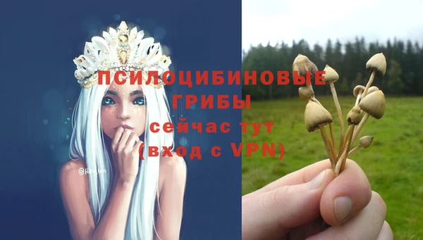 spice Богородицк