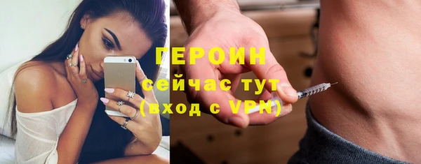 spice Богородицк