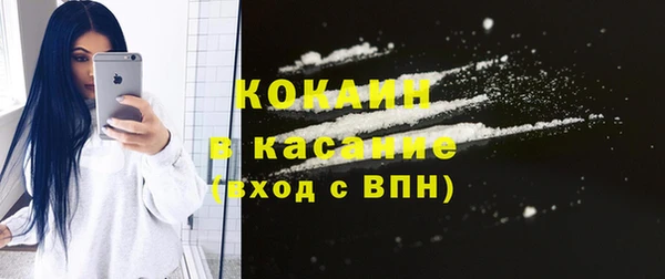 spice Богородицк