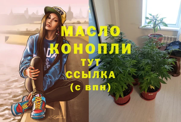 spice Богородицк
