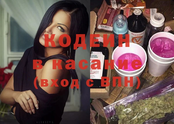 spice Богородицк