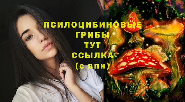 гидропоника Богородск