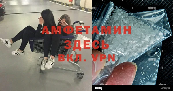 spice Богородицк