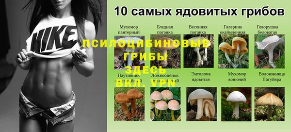 MDMA Premium VHQ Богданович
