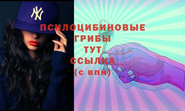 spice Богородицк