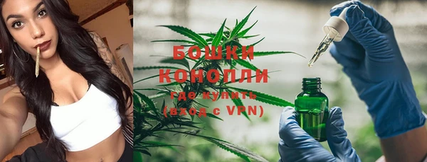 spice Богородицк